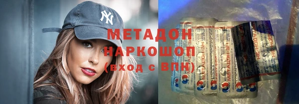 индика Алексин