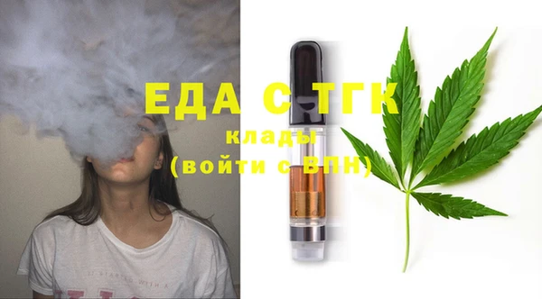 индика Алексин