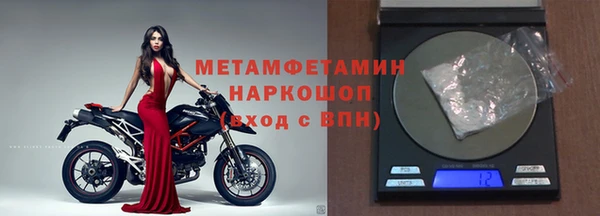 индика Алексин