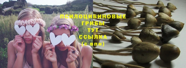 сатива Абдулино