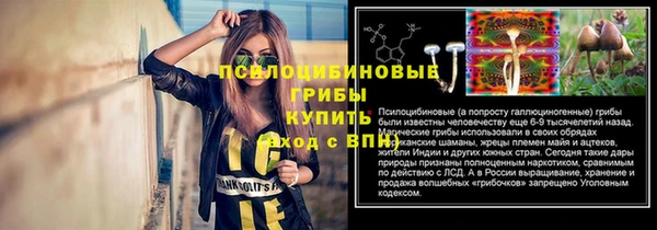 стаф Алексеевка
