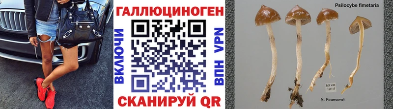 Псилоцибиновые грибы мухоморы  где купить   Норильск 